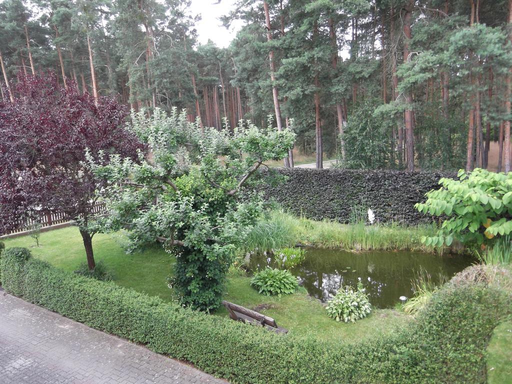 Amselgarten Lübben Eksteriør bilde